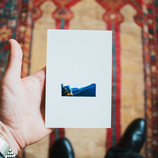 Study of Color - CS2254