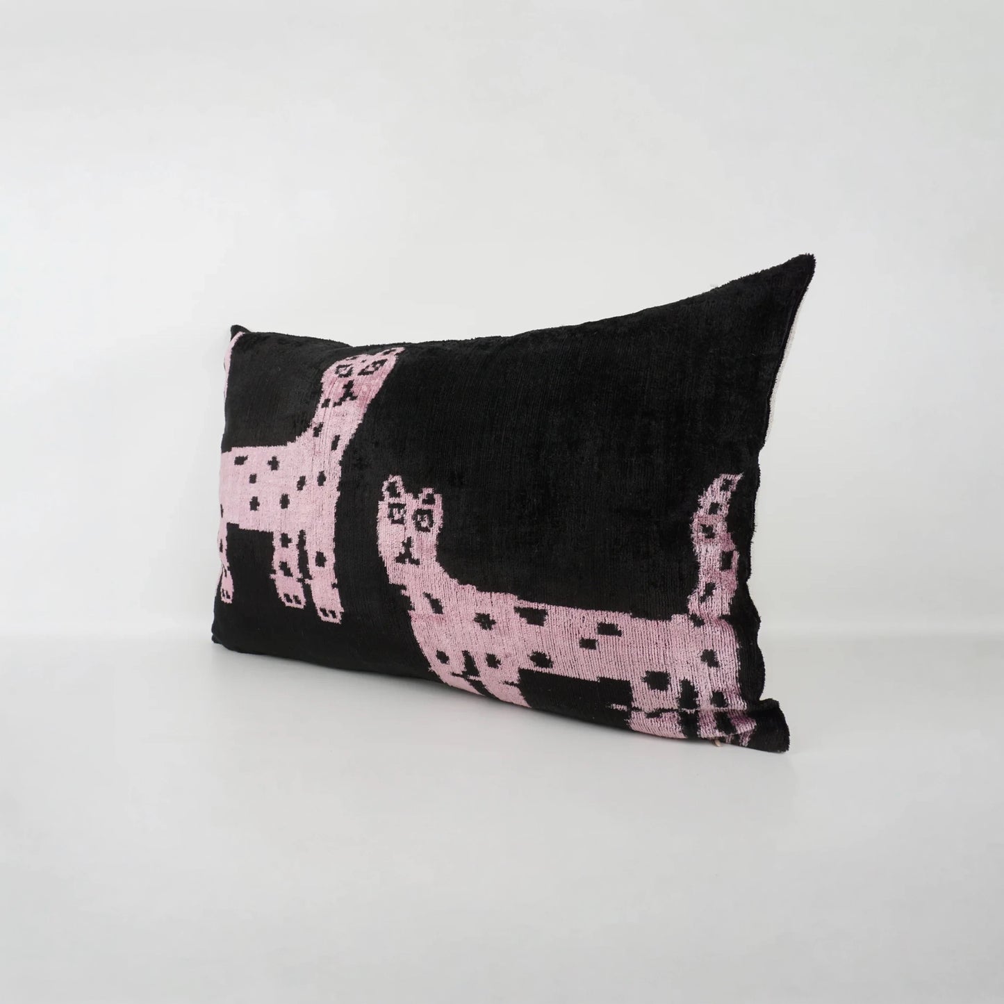 Lawrence & Pablo - Evening Stroll