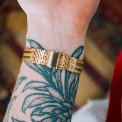 Citizen Quartz Tigers Eye