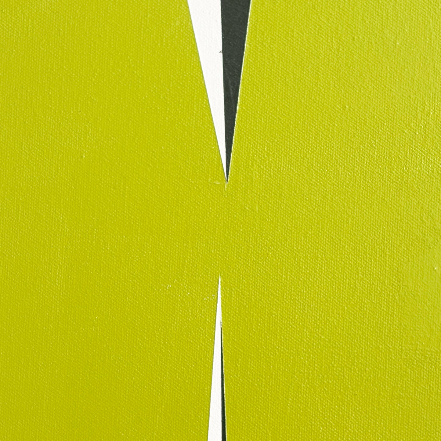 Grasshoppers No.006